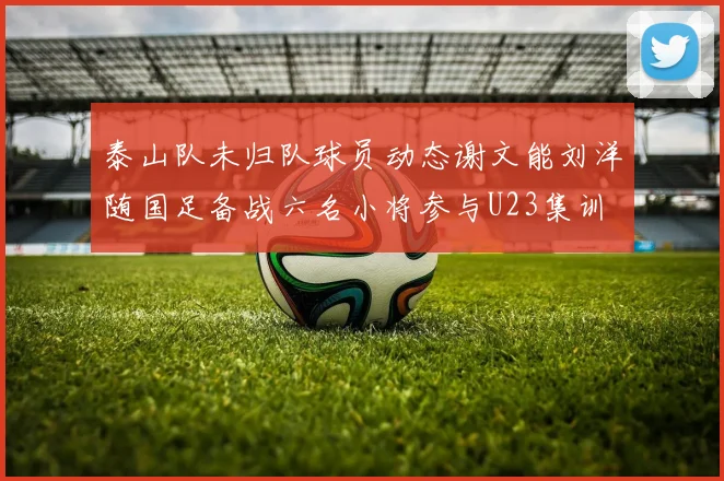 泰山队未归队球员动态谢文能刘洋随国足备战六名小将参与U23集训