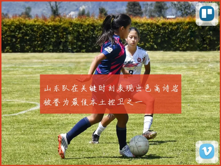 山东队在关键时刻表现出色高诗岩被誉为最佳本土控卫之一
